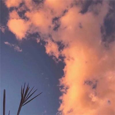 航海王bon bon journey游戏下载