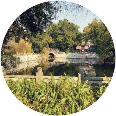 霓虹分离最新版下载